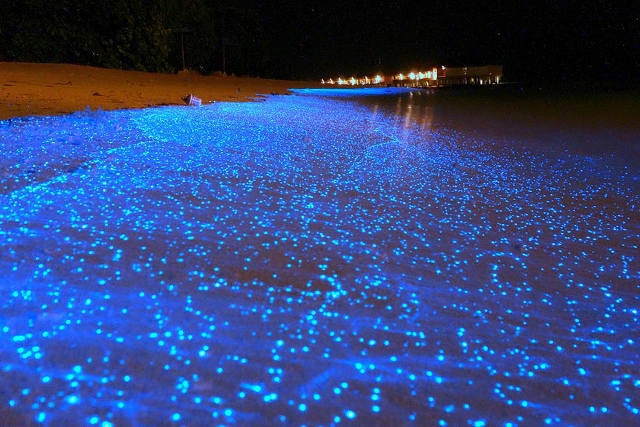 Cele mai inedite plaje din lume!