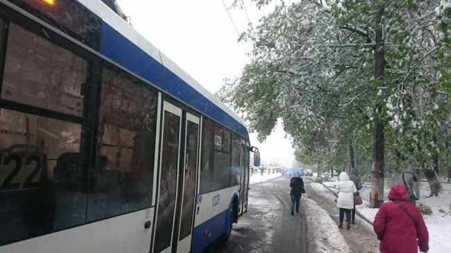 Ambuteiaj în sectorul Botanica al capitalei. Mai multe troleibuze au rămas blocate