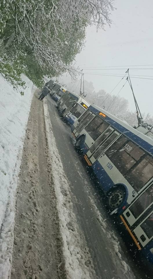 Ambuteiaj în sectorul Botanica al capitalei. Mai multe troleibuze au rămas blocate