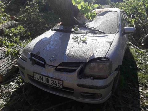 Dezastru într-o gospodărie din Cornești. O familie s-a trezit în toiul nopții cu copacul vecinului peste casă și mașină
