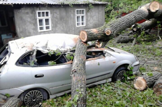 Dezastru într-o gospodărie din Cornești. O familie s-a trezit în toiul nopții cu copacul vecinului peste casă și mașină