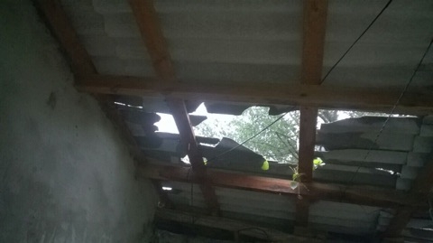 Dezastru într-o gospodărie din Cornești. O familie s-a trezit în toiul nopții cu copacul vecinului peste casă și mașină