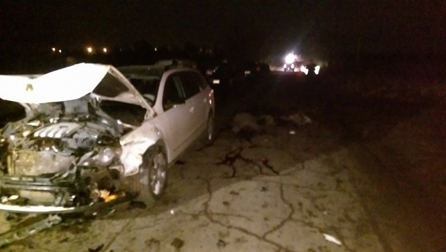 Grav accident la Colonița. Un șofer a intrat cu mașina într-o turmă de oi