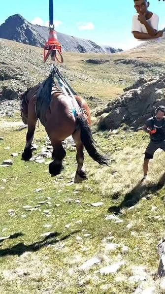 Misiune spectaculoasă în munții Andorrei: zeci de pompieri din Spania s-au mobilizat pentru a salva un cal rămas blocat pe stânci - VIDEO