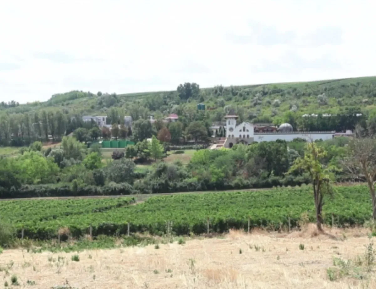 Incendiu devastator la Purcari: aproape 40 de hectare de grâu au fost distruse de flăcări, iar pompierii au intervenit timp de patru ore - VIDEO