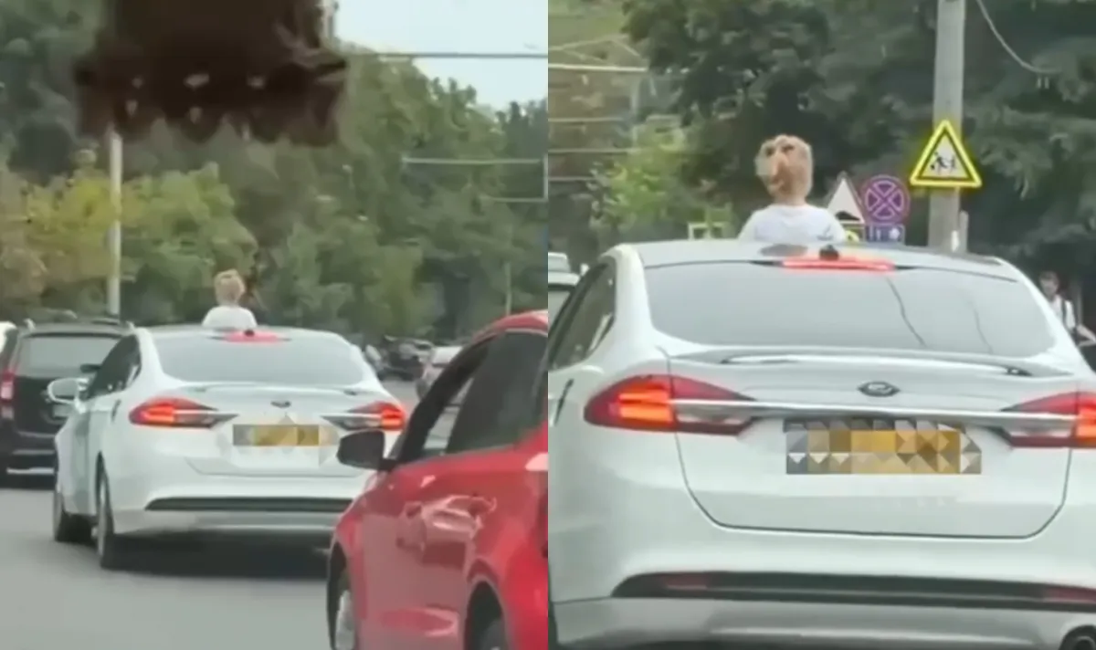 O clipă de neatenție sau iresponsabilitate? Un copil, filmat ieșind prin trapa unei mașini în mers. Ce spune poliția - VIDEO
