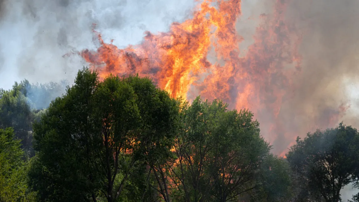 Dezastru în vestul Europei: sute de incendii de vegetație izbucnite din cauza temperaturilor extreme. Peste 3.000 de hectare de pădure, mistuite în câteva ore - VIDEO