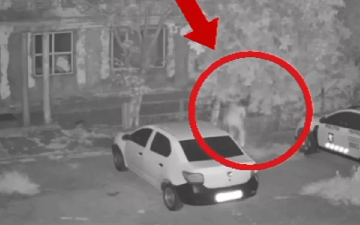 A incendiat o mașină de serviciu a poliției din Comrat. Un bărbat, reținut pentru huliganism agravat - VIDEO