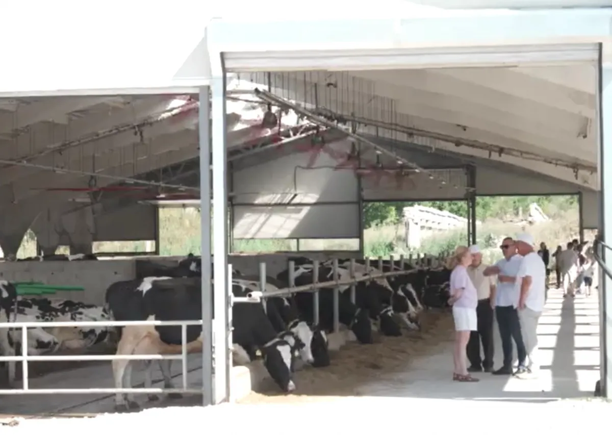 De la 30 de vaci la aproape 400 și 15 tone de lapte pe zi. Povestea familiei din Glodeni care a construit una dintre cele mai moderne ferme din nordul Moldovei - VIDEO