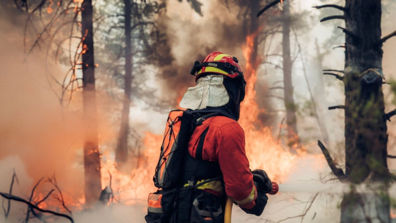 Spania este din nou sub asediul incendiilor: echipele de intervenție încearcă să oprească extinderea focarelor înaintea unui nou episod de căldură extremă - VIDEO