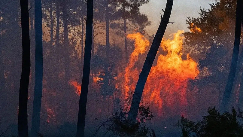 Franța, devastată de incendiile de vegetație: 220 de mii de oameni au fost evacuați, sute de locuințe au ars, iar un nou val de caniculă amenință să reaprindă focarele - VIDEO
