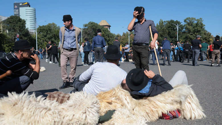 Protest cu scandal la București: crescătorii de oi și capre s-au ciocnit cu jandarmii după interzicerea exporturilor de animale vii - VIDEO