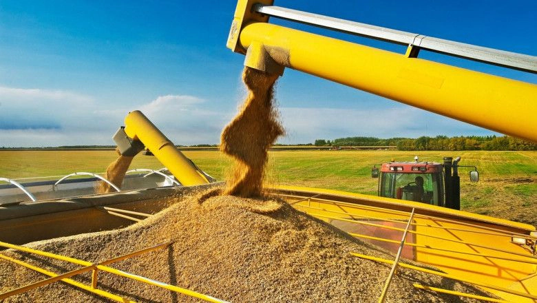 Fermierii cer urgent reintroducerea licențierii importului cerealelor și oleaginoaselor, după scăderea prețurilor: „Consecințele pentru fermierii autohtoni pot fi catastrofale”