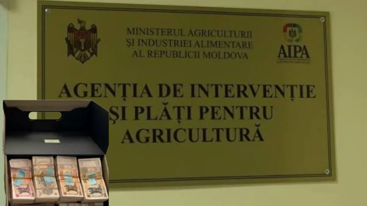 Reacția AIPA după reținerea unui șef din cadrul instituției de către CNA: „Condamnăm orice tentativă de corupție”