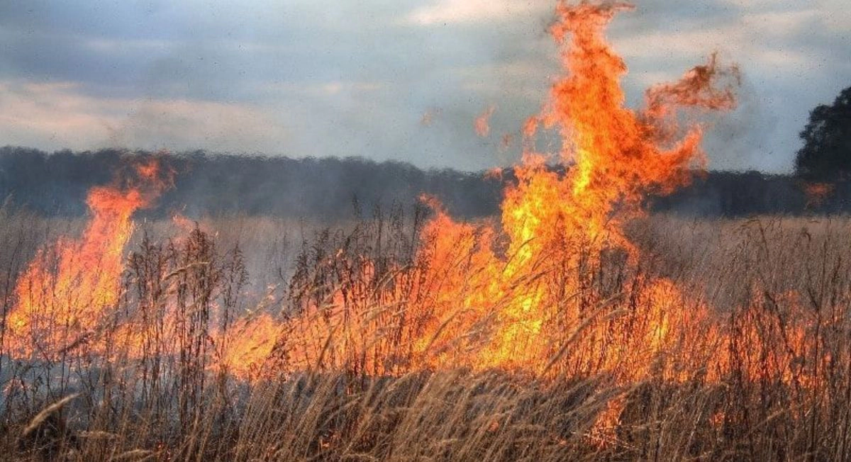 Pericol de incendii în Republica Moldova: Meteorologii au emis Cod galben. Până când va fi valabilă avertizarea