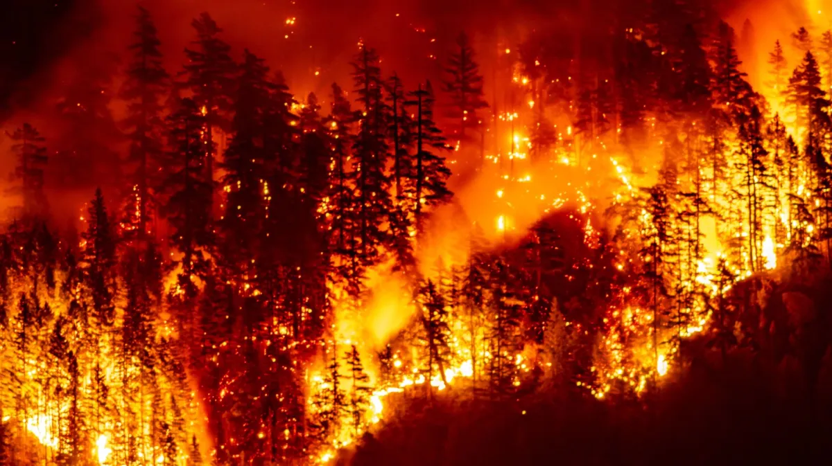 Stare de urgență în Columbia Britanică: peste 20.000 de persoane, evacuate din calea incendiilor de vegetație