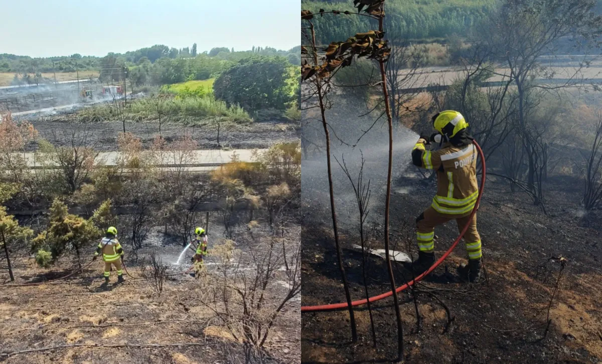 Misiune de cinci ore în Grecia: pompierii moldoveni au luptat cu focarele de incendiu lângă Thessaloniki - FOTO/VIDEO