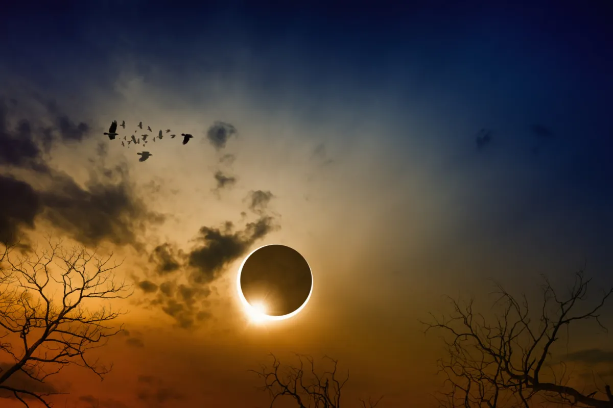 LIVE. Eclipsa de Soare a început! Fenomenul astronomic spectaculos este vizibil și în Europa