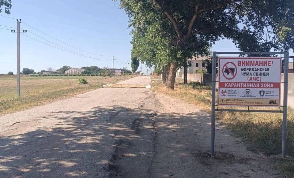 Orașul Vulcănești, în carantină după depistarea pestei porcine africane: Cât vor dura restricțiile