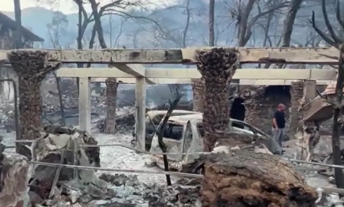 Incendiile de vegetație nu lasă Europa să respire. Două focare izbucnite din senin pe insula grecească Salamina au luat două vieți, iar în Belgia un incendiu a distrus mii de hectare - VIDEO