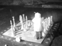 Isi scoate stresul pe tabla de sah! Momentul in care o femeie imprastie piesele cu picioarele, apoi FURA CALUL. VIDEO