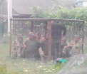 "Alcoolismul, la nivel de epidemie" in armata ucraineana. Soldatii beti, tinuti ingramaditi in custi, drept pedeapsa - VIDEO