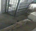Momentul in care "El Chapo", lordul drogurilor, a evadat din celula sa, surprins de camere. Filmarea a fost facuta publica