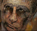 "Fata razboiului", portretul facut de o tanara artista din Ucraina lui Vladimir Putin. A fost realizat din cartuse - VIDEO
