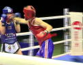 Start campionatului national de K1 pentru amatori. Au fost impartite deja primele lovituri