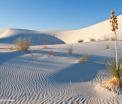Au plecat la plimbare in desert cu o singura sticla de apa, de 0,5 l. Cum au murit niste parinti, dar si-au salvat copilul