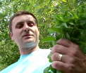 A investit intr-o plantatie de menta si abia face fata comenzilor. Cati bani castiga pe sezon un barman din Cluj cu ideea lui