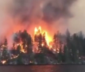 Incendiile parjolesc vestul Statelor Unite. Pierderile sunt estimate la aproape 100 de milioane de dolari pe saptamana - FOTO