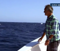 Surpriza uriasa pe care a avut-o un realizator BBC in timpul filmarii. Ce a aparut in spatele lui. VIDEO