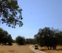 Zone din California se scufunda intr-un ritm accentuat din cauza secetei prelungite. Anuntul alarmant facut de NASA