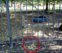 Doi baieti de cinci ani, din Rusia, au sapat un tunel sa fuga de la gradinita si sa cumpere un Jaguar