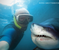 Mai multi oameni au murit in 2015 din cauza selfie-urilor decat a rechinilor. Masura luata de Rusia