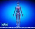 Se intampla la Balti. Doua femei insarcinate si un barbat au ajuns la spital intoxicati cu produse din carne