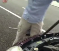 A oprit la o benzinarie si a avut parte de spaima vietii ei. Ce a gasit o soferita din Australia sub capota masinii