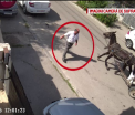 Un cal intra cu viteza intr-o masina parcata. Accidentul ciudat, surprins de camerele de supraveghere din Craiova