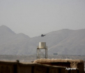 Cinci membri ai NATO au murit, dupa ce un elicopter s-a prabusit in Afganistan. "A fost un accident, nu un atac insurgent"
