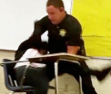 Politistul american care a tarat de gat o eleva intr-o sala de clasa a fost demis. Reactia lui Hillary Clinton. VIDEO