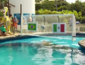 Fanii brazilieni ar trebui sa-si faca griji pentru meciul cu Mexic. Iata ce a prezis noul oracol al turneului