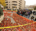 Bilantul tragediei din Colectiv: 53 de morti. Surse medicale: Prietena solistului Goodbye to Gravity a murit azi la Floreasca