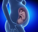 Premiera pentru Romania. 7 specialisti au operat cu succes, pe coloana vertebrala, un bebelus aflat inca in uterul mamei