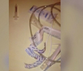 Imagini filmate in camera de hotel in care teroristii au pus la cale atentatele din Paris. Ce au gasit in interior. VIDEO