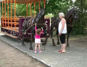 Tramvai tras de cai, electric sau de epoca. Parcul de tehnica de la UTM a prins viata. Vezi cum arata