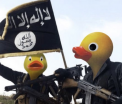 Internetul raspunde terorismului cu umor. Imaginile in care jihadistii Statului Islamic au capete de rate. FOTO