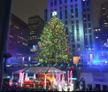 Sarbatorile au inceput la New York cu iluminarea bradului din Rockefeller Center, o traditie de peste sapte decenii