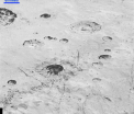 NASA prezinta "cele mai clare imagini" ale planetei Pluto. "Ramanem in continuare fascinati de ceea ce vedem". FOTO/VIDEO