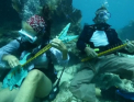 Concert sub apa in SUA. Sute de scafandri au cantat intr-un golf, printre pesti si vietuitoare marine